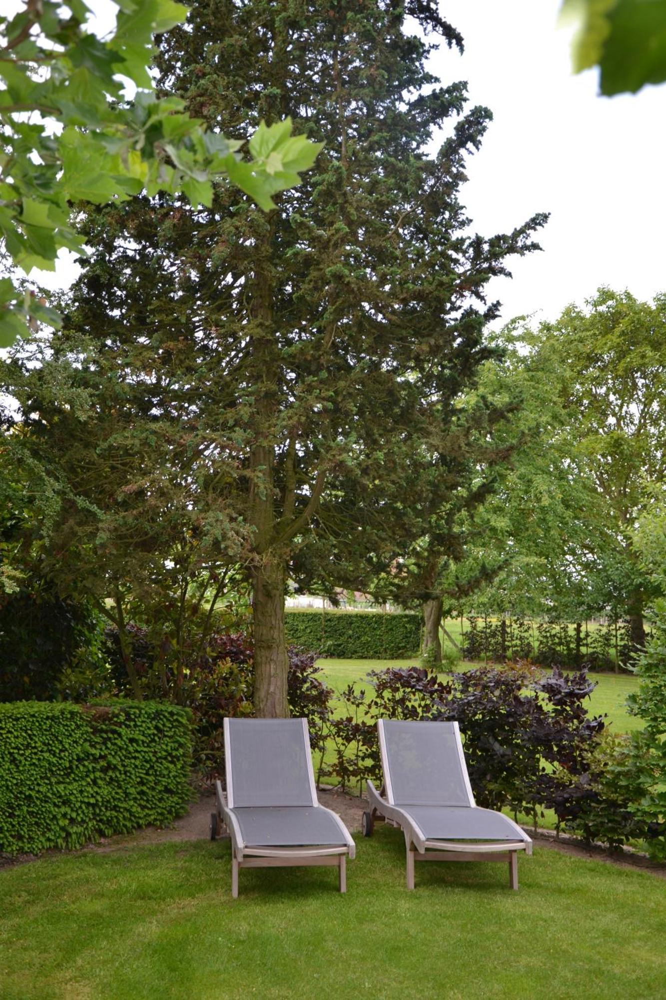 B&B Hof Te Spieringen Vollezele Exteriér fotografie