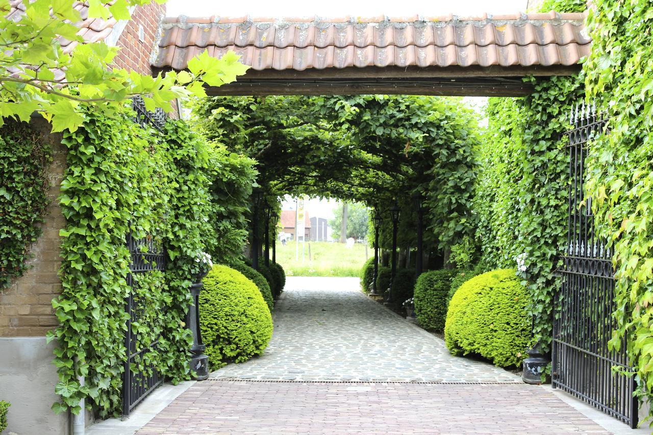B&B Hof Te Spieringen Vollezele Exteriér fotografie
